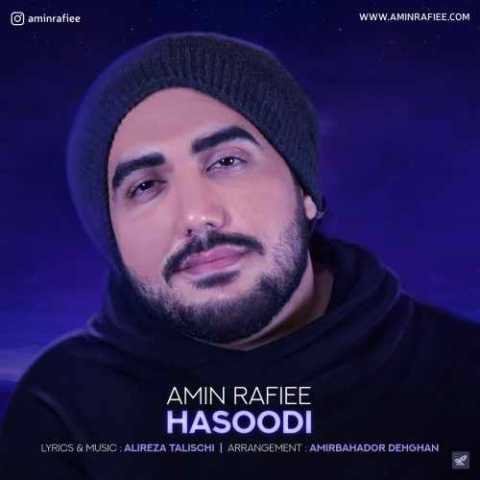 Amin Rafei Hasodi